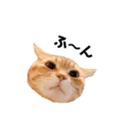 ねこのチロちゃん。（個別スタンプ：30）