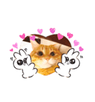 ねこのチロちゃん。（個別スタンプ：31）