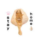 ねこのチロちゃん。（個別スタンプ：34）