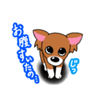 チワワのチビーズスタンプ（個別スタンプ：1）