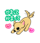 チワワのチビーズスタンプ（個別スタンプ：3）