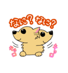 チワワのチビーズスタンプ（個別スタンプ：8）