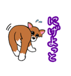 チワワのチビーズスタンプ（個別スタンプ：9）