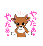 チワワのチビーズスタンプ（個別スタンプ：12）