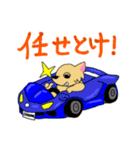 チワワのチビーズスタンプ（個別スタンプ：13）