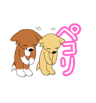 チワワのチビーズスタンプ（個別スタンプ：28）