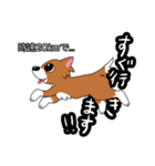 チワワのチビーズスタンプ（個別スタンプ：31）