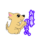 チワワのチビーズスタンプ（個別スタンプ：34）