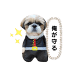 マサみつの日々2（シーズー）（個別スタンプ：17）