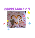 シーズーこなちゃん（個別スタンプ：4）