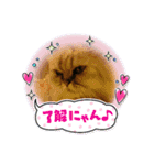 シーズーこなちゃん（個別スタンプ：16）