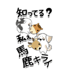 【Big】シーズー犬20『ちょっと毒舌』（個別スタンプ：36）