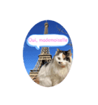 フランス語をしゃべる美里音（個別スタンプ：1）