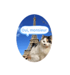 フランス語をしゃべる美里音（個別スタンプ：2）