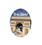 フランス語をしゃべる美里音（個別スタンプ：3）