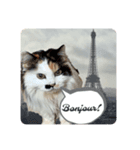 フランス語をしゃべる美里音（個別スタンプ：7）