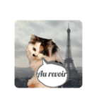 フランス語をしゃべる美里音（個別スタンプ：8）