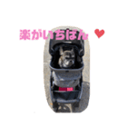 フレンチブルドッグのくーたろーくん3（個別スタンプ：5）