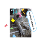 にゃー子と友達のスタンプ（個別スタンプ：7）