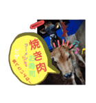 にゃー子と友達のスタンプ（個別スタンプ：12）