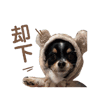 babyるぅ！反抗期編（個別スタンプ：1）