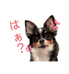 babyるぅ！反抗期編（個別スタンプ：3）