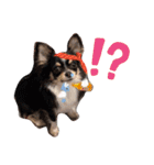 babyるぅ！反抗期編（個別スタンプ：4）