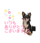babyるぅ！反抗期編（個別スタンプ：12）