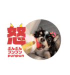 babyるぅ！反抗期編（個別スタンプ：13）