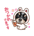 babyるぅ！反抗期編（個別スタンプ：21）