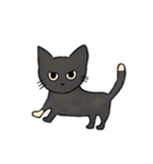 サビ猫ダーちゃん（個別スタンプ：2）