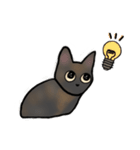 サビ猫ダーちゃん（個別スタンプ：5）