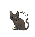 サビ猫ダーちゃん（個別スタンプ：7）
