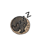 サビ猫ダーちゃん（個別スタンプ：8）