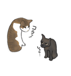 サビ猫ダーちゃん（個別スタンプ：12）