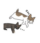 サビ猫ダーちゃん（個別スタンプ：13）