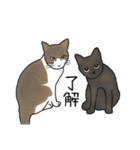 サビ猫ダーちゃん（個別スタンプ：14）