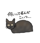 サビ猫ダーちゃん（個別スタンプ：15）