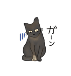 サビ猫ダーちゃん（個別スタンプ：16）