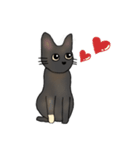 サビ猫ダーちゃん（個別スタンプ：19）