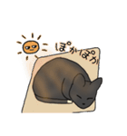 サビ猫ダーちゃん（個別スタンプ：20）