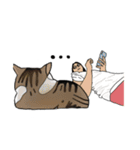 サビ猫ダーちゃん（個別スタンプ：24）