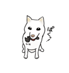 サビ猫ダーちゃん（個別スタンプ：25）