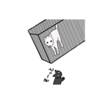サビ猫ダーちゃん（個別スタンプ：26）