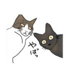 サビ猫ダーちゃん（個別スタンプ：30）