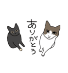 サビ猫ダーちゃん（個別スタンプ：31）