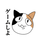 煽るネコ スタンプ（個別スタンプ：1）