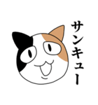 煽るネコ スタンプ（個別スタンプ：5）