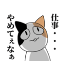 煽るネコ スタンプ（個別スタンプ：8）