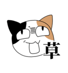 煽るネコ スタンプ（個別スタンプ：9）